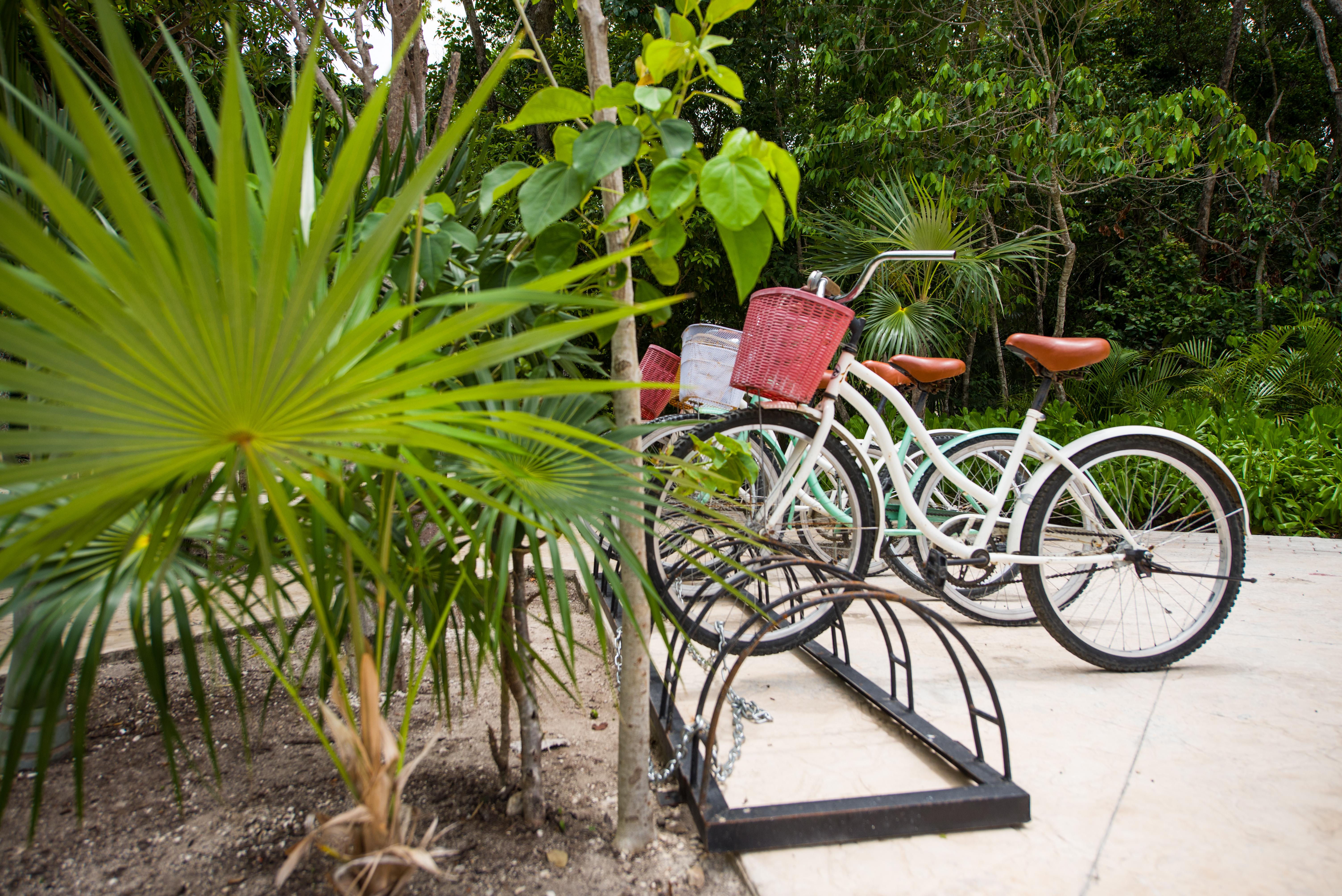 Naay Tulum Curamoria Collection Extérieur photo