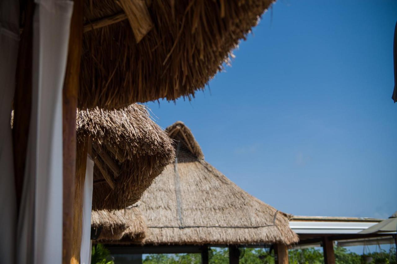 Naay Tulum Curamoria Collection Extérieur photo